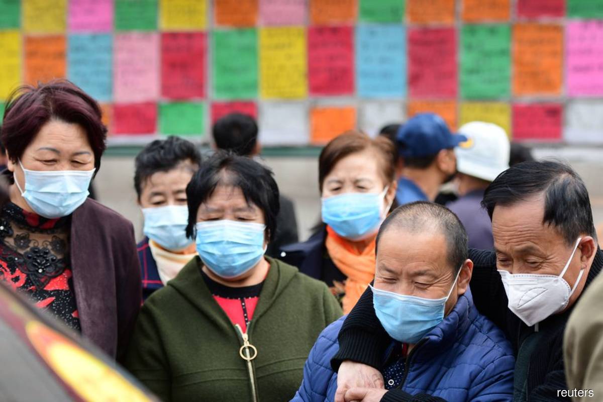 Dozens in China infected with new ‘Langya’ virus carried by shrews
